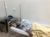 베트남 보건부: 중부지역에 위트모어병 대응팀 긴급 파견