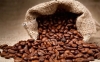 베트남, 2020년까지 커피 원두 가공으로 '고부가 가치 제품화'