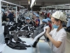 베트남에서 생산된 신발, 세계 100여 개국에 수출 중