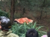 탱화省, 숲속에서 사망한 채로 발견된 한국인..., 원인 조사 중