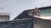 호찌민시: 먹이 찾아 가정집에 난입한 원숭이에 골머리