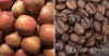 남아도는 국산 사과, 베트남산 커피와 맞교환한다