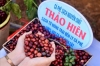 베트남 커피, 부가가치 높이는 고급화 문제