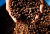 커피 원두 공급 증가로 '베트남 커피' 가격 하락세 지속