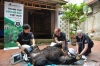 하노이, 가정사육 흑곰 구출에 성공